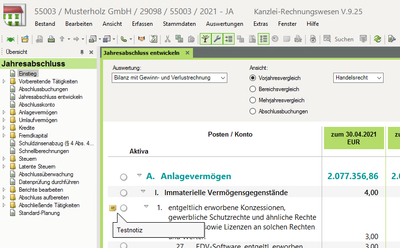 Jahresabschluss_entwickeln_Notiz_Mouseover.png